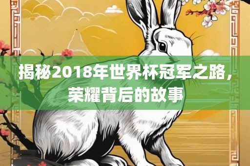 揭秘2018年世界杯冠军之路，荣耀背后的故事漯河市盈旭机械设备有限公司