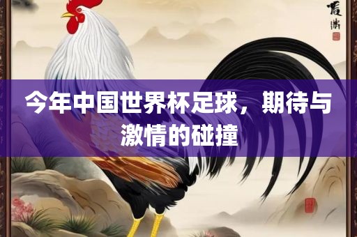 今年中国世界杯足球，期待与激情的碰撞