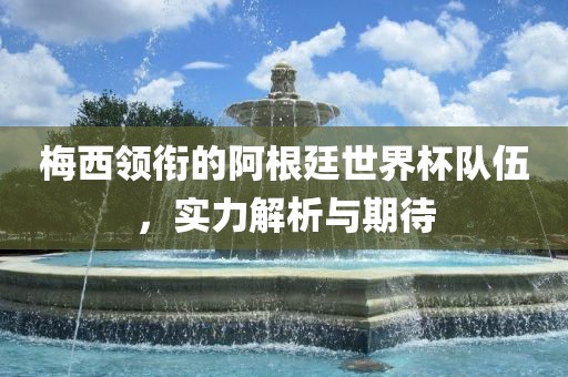 梅西领衔的阿根廷世界杯队伍，实力解析与期待