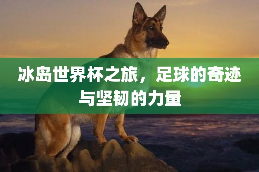 冰岛世界杯之旅漯河市盈旭机械设备有限公司，足球的奇迹与坚韧的力量