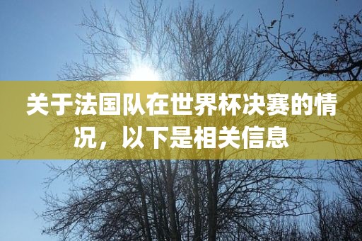 关于法国队在世界杯决赛的情况，以下是相关信息
