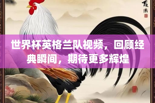 世界杯英格兰队视频，回顾经典瞬间，期待更多辉煌