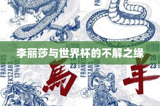 李丽莎与世界杯的不解之缘