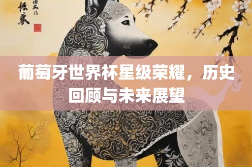 葡萄牙世界杯星级荣耀，历史回顾与未来展望