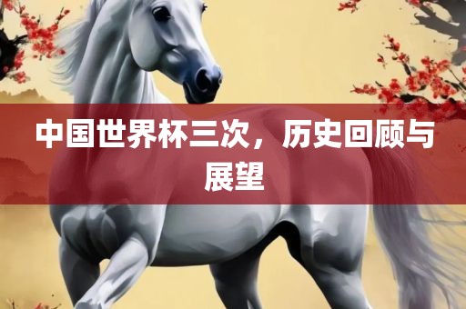 中国世界杯三次，历史回顾与展望