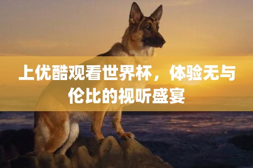 上优酷观看世界杯，体验无与伦比的视听盛宴