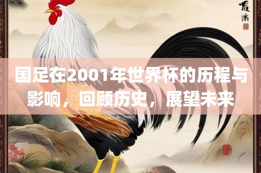国足在2001年世界杯漯河市盈旭机械设备有限公司的历程与影响，回顾历史，展望未来