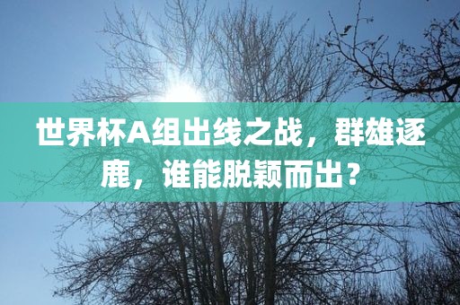 世界杯A组出线之战，群雄逐鹿，谁能脱颖而出？