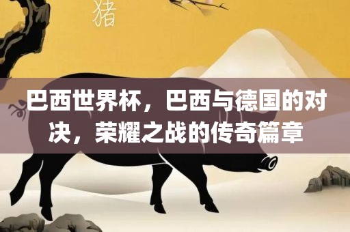 巴西世界杯，巴西与德国的对决，荣耀之战的传奇篇章