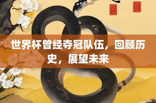 世界杯曾经夺冠队伍，回顾历史，展望未来