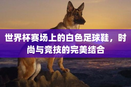 世界杯赛场上的白色足球鞋，时尚与竞技的完美结合漯河市盈旭机械设备有限公司