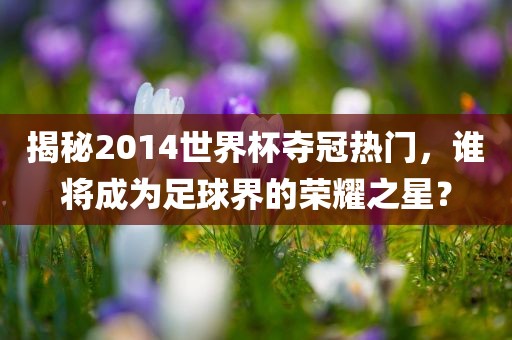 揭秘2014世界杯夺冠热门，谁将成为足球界的荣耀之星？漯河市盈旭机械设备有限公司