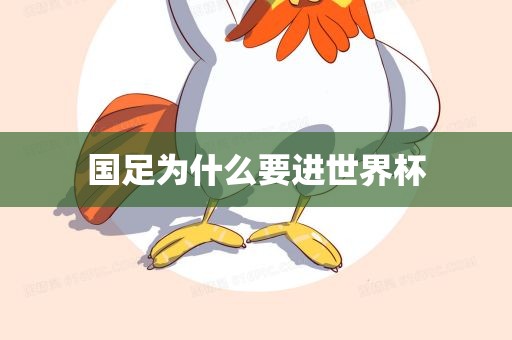 国足为什么要进世界杯漯河市盈旭机械设备有限公司