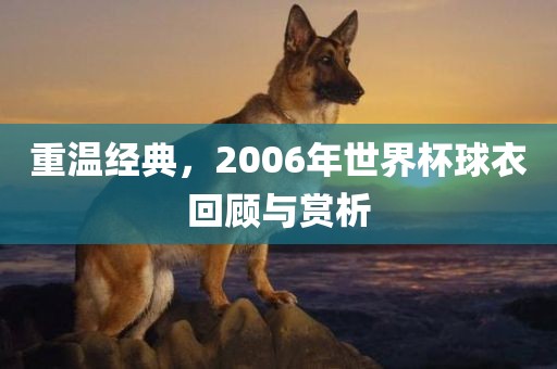 重温经典，2006年世界杯球衣回顾与赏析漯河市盈旭机械设备有限公司