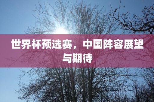 世界杯预选赛，中国阵容展望与期待漯河市盈旭机械设备有限公司