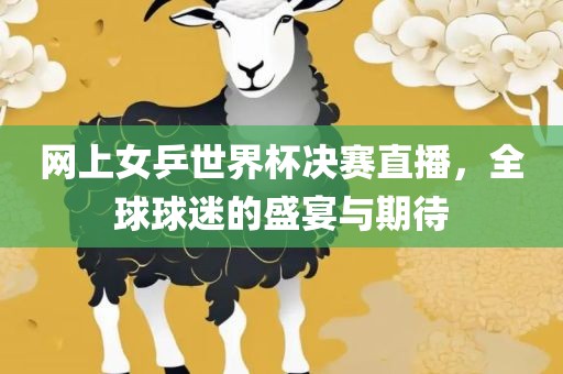 网上女乒世界杯决赛直播，全球球迷的盛宴与期待漯河市盈旭机械设备有限公司