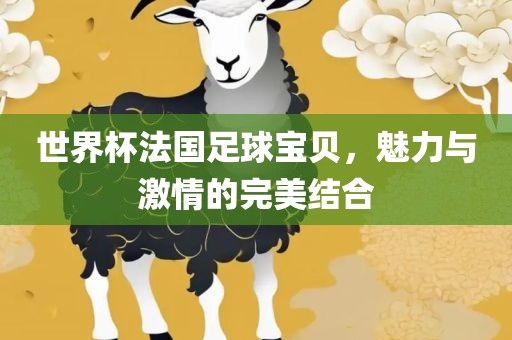 世界杯法国足球宝贝，魅力与激情的完美结合