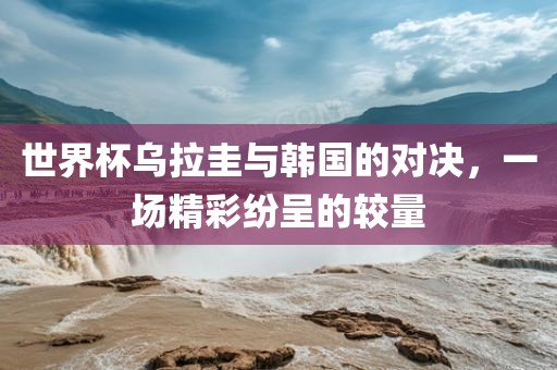 世界杯乌拉圭与韩国的对决，一场精彩纷呈的较量漯河市盈旭机械设备有限公司
