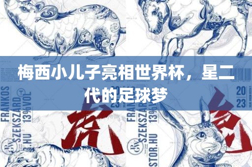 梅西小儿子亮相世界杯，星二代的足球梦漯河市盈旭机械设备有限公司