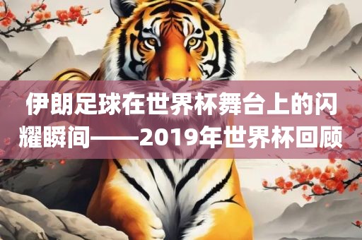 伊朗足球在世界杯舞台上的闪耀瞬间——2019年世界杯回顾漯河市盈旭机械设备有限公司