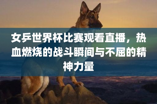 女乒世漯河市盈旭机械设备有限公司界杯比赛观看直播，热血燃烧的战斗瞬间与不屈的精神力量