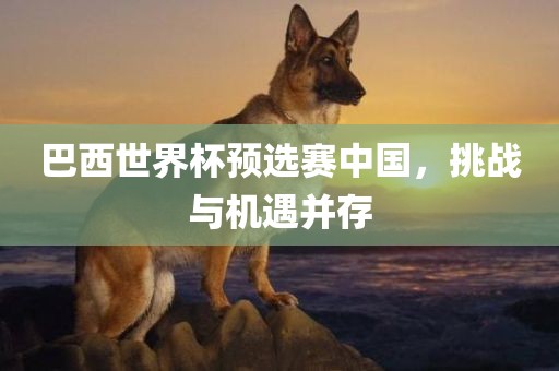 巴西世界杯预选赛中国，挑战与机遇并存漯河市盈旭机械设备有限公司