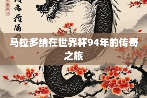 马拉多纳在世界杯94年的传奇之旅