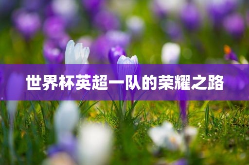 世界杯英超一队的荣耀之路漯河市盈旭机械设备有限公司