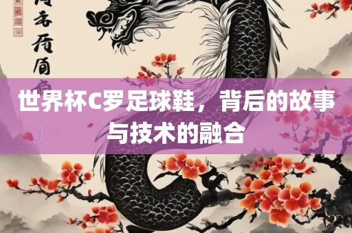 世界杯C罗足球鞋，背后的故事与技术的融合漯河市盈旭机械设备有限公司