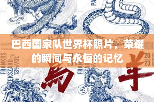 巴西国家队世界杯照片，荣耀的瞬间与永恒的记忆漯河市盈旭机械设备有限公司