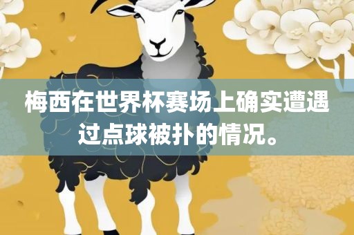 梅西在世界杯赛场上确实遭遇过点球被扑的情况。
