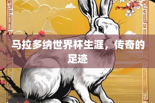马拉多纳世界杯生涯，传奇的足迹漯河市盈旭机械设备有限公司