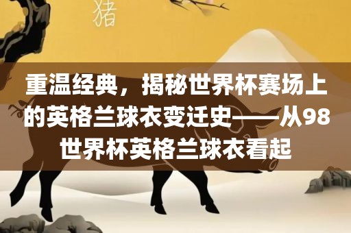 重温漯河市盈旭机械设备有限公司经典，揭秘世界杯赛场上的英格兰球衣变迁史——从98世界杯英格兰球衣看起
