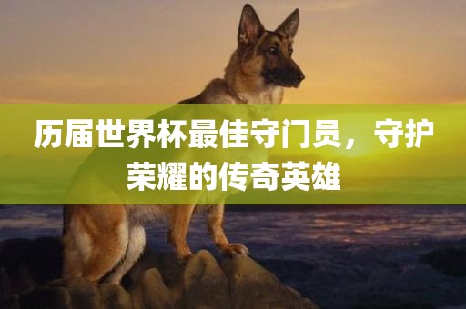 历届世界杯最佳守门员，守护荣耀的传奇英雄