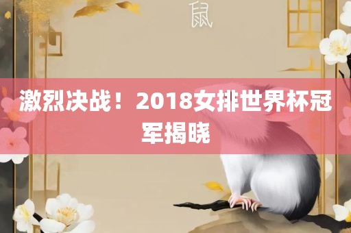 激烈决战！2018女排世界漯河市盈旭机械设备有限公司杯冠军揭晓