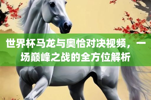 世界杯马龙与奥恰对决视频，一场巅峰之战的全方位解析漯河市盈旭机械设备有限公司