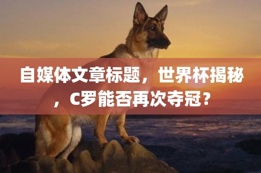 自媒体文章标题，世界杯揭秘，C罗能否再次夺冠？漯河市盈旭机械设备有限公司