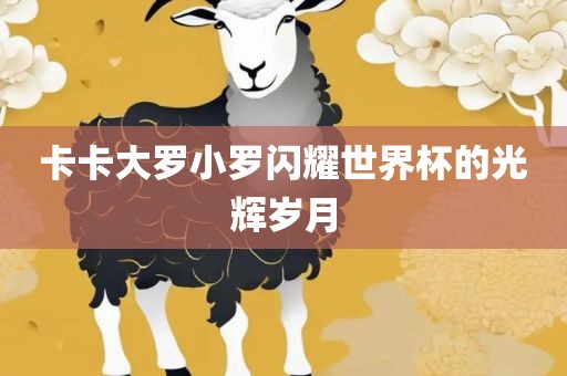 卡卡大罗小罗漯河市盈旭机械设备有限公司闪耀世界杯的光辉岁月