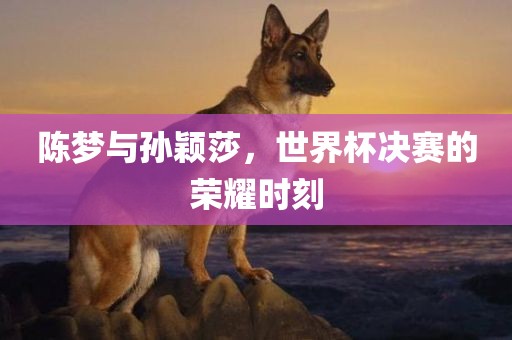 陈梦与孙颖莎，世界杯决赛的荣耀时刻漯河市盈旭机械设备有限公司
