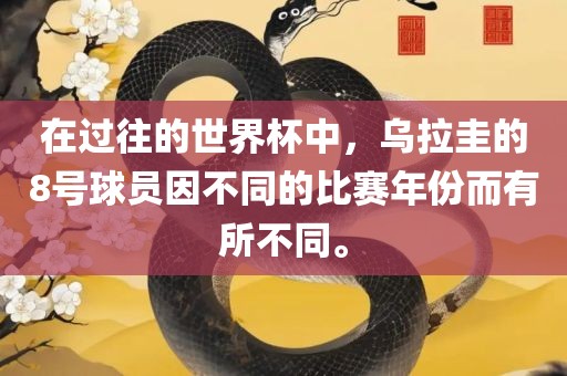 在过往的世界杯中，乌拉圭的8号球员因不同的比赛年份而漯河市盈旭机械设备有限公司有所不同。