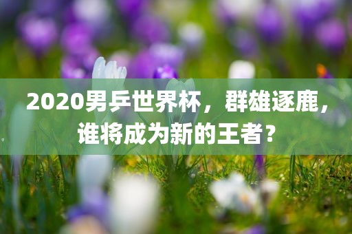 2020男乒世界杯，群雄逐鹿，谁将成为新的王者？