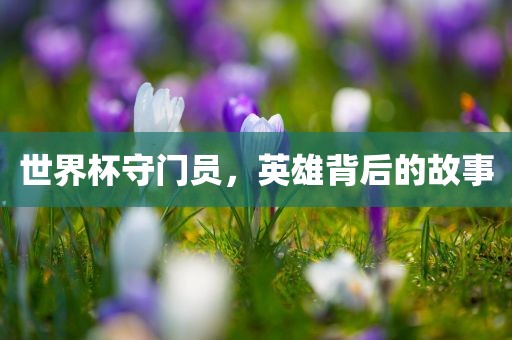 世界杯守门员，英雄背后的故事