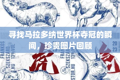 寻找马拉多纳世界杯夺冠的瞬间，珍漯河市盈旭机械设备有限公司贵图片回顾