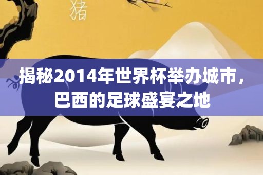 揭秘2014年世界杯举漯河市盈旭机械设备有限公司办城市，巴西的足球盛宴之地