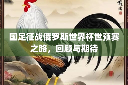 国足征战俄罗斯世界杯世预赛之路，回顾与期待