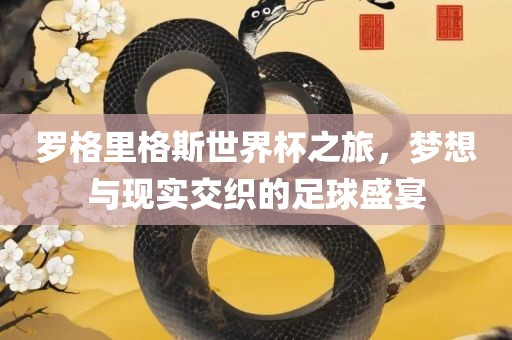 罗格里格斯世界杯之旅，梦想与现实交织的足球漯河市盈旭机械设备有限公司盛宴