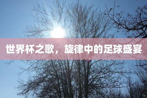 世界杯之歌，旋律中的足球盛宴