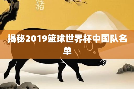 揭秘2019篮球世界杯中国队名单