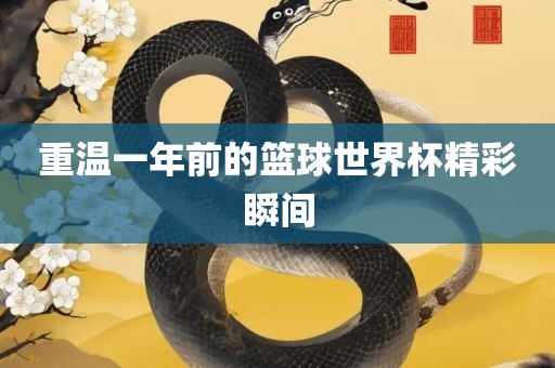 重温一年前的篮球世界杯精彩瞬间