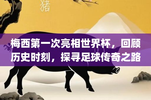 梅西第一次亮相世界杯，回顾历史时刻，探寻足球传奇之路